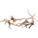 emours Natural Driftwood Vine Branches Reptiles Aquarium Decoration Assorted Sizes Small 4 Pieces - Buy Online on GoSupps.com