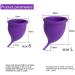 Shop Soft & Flexible Menstrual Cup | Reusable Medical Silicone Moon Cup Small Purple - Buy Online on GoSupps.com