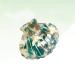 Lurrose Green Shell Shape Hair Clip for Women | Stylish Ponytail Holder & Hair Accessories - Buy Online on GoSupps.com
