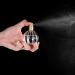 Vintage Pumpkin Shape 50ml Perfume Bottle - Refillable Glass Atomizer with Fine Mist Sprayer - International Shipping Available - Buy Online on GoSupps.com