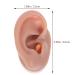 Kichvoe Piercing Kit - Silicone Human Ear Model Display - Right Ear Piercing Tools for Teaching and Practice - Buy Online on GoSupps.com