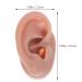 Professional Silicone Human Ear Model for Piercing Training | Kichvoe 1stk Ear Simulation Tool for Students & Teaching Aids - Buy Online on GoSupps.com
