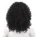 Shop Curly Hair Wigs for Black Women | Kinky Afro Lace Front & Synthetic Short Wavy Styles - Buy Online on GoSupps.com