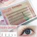 Natural Mink Curl Eyelash Extensions - 9/10/11/12mm Individual Lashes 0.07c Thick - International Shipping Available - Buy Online on GoSupps.com