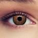Buy Monthly Brown Contact Lenses - Natural Effect for Dark Eyes 1 Pair (2st) + Free Case -2.50 Strength - Buy Online on GoSupps.com