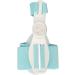 Bunion Corrector Splint - Adjustable Size for Hallux Valgus, Arch Support & Silicone Padding for Orthopedic Relief - Buy Online on GoSupps.com