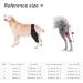 Pet Dog Injury Knee Brace Leg Inflammation Pain Alleviate Leg Support Sheaths for Dogs Outdoor Walking Accessories - Buy Online on GoSupps.com