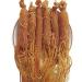 6 7 Years Whole Asian Panax Korean Red Ginseng Roots Rare Korean Panax 250g (8.8 Oz)