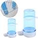 hetuioiyster Parrot Feeder Automatic Water Drink Container Food Dispenser Cage Birds Supplies Feeder Bottle S - Buy Online on GoSupps.com