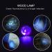 UV Resin Light Curing for Epoxy Fly Fishing Loca UV Glue 3D Printing Nail Polish UV Flashlight-Fast Curing (UV Resin Light) - Buy Online on GoSupps.com