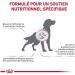 Royal Canin Veterinary Diet Dog Food Cardiac Adult 2 Kg - Buy Online on GoSupps.com