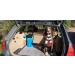 Petacarium Insulated Portable Shower (5 Litre Blue) for Dogs Camping Paddleboarding Muddy Walks 5 l (Pack of 1) Blue - Buy Online on GoSupps.com