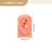 Beaupretty 3D Silicone Ear Model for Acupuncture & Massage Practice - Realistic Human Ear Display - Buy Online on GoSupps.com