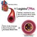 L-Arginine Plus 3-Pack - Blood Pressure & Cholesterol Support - Energy & Blood Flow Boost - Muscle Development - #1 L-arginine Supplement - Multi Flavor Bundle - Buy Online on GoSupps.com