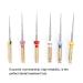 Buy 6 PCs 21mm Professional Endodontic Filing NITI Root Canal Files & Dental Instruments for Optimal Care | Worldwide Shipping - Buy Online on GoSupps.com