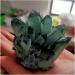 Natural Crystal Rough Stone Crafts Newly Discovered Green Quartz Crystal Cluster Specimen (Size : 600-700g) - Buy Online on GoSupps.com