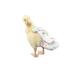 HEZHUO Duck Diapers, Chicken Diapers, Special Diapers for Poultry, Chicken, Duck and Goose Waterproof, Adjustable, Washable and Reusable Diapers,Poultry Supplies, Duck Supplies S:0.1kg-0.2kg