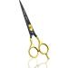 Glamified Glam Hair Cutting Scissors -Sharp Razor Edge Blade Hair Shears Series - 5.5" with Fine Adjustment Stainless Steel Hair Scissors Professional for Men Women & Babies (Black+Gold) - Buy Online on GoSupps.com