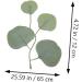 FUNOMOCYA 50pcs Artificial Willow Leaves Wall Decoration Greenery Garland Planta Artificial Fake Flowers for Decorative Fake Leaves Fake Greenery Branches Wedding Glossy Cloth Leaf Green 1 14X13.5CM - Buy Online on GoSupps.com