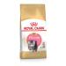 Royal Canin Kitten Food Persian 32 Dry Mix 4 kg 4 kg (Pack of 1)