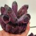 Natural Crystal 300-700g Natural Purple Ghost Quartz Crystal Cluster Crystals raw Gemstone Specimen for Home&Office Decoration Synthetic Power Stone Crystal HOMEZHOU (Size : 500-600g) - Buy Online on GoSupps.com