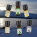 Pure Frankincense Essential Oil 5ml Wild Collection for Aromatherapy & Cosmetics | Life Happiness - Buy Online on GoSupps.com