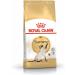 Royal Canin Siamese Adult Dry Cat Food 3 x 400g - Buy Online on GoSupps.com