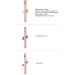 5 in 1 Makeup Brush Mini Makeup Brush Set Rose Gold MultifunctionalSponge Loose Powder Eyebrow Eyeshadow Lip Brush for Women and Girls - Buy Online on GoSupps.com