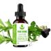 Pure Herbs Thyme ct Linalool Essential Oil (Thymus Vulgaris) - 10 ml | Premium Quality Herbal Extract for Aromatherapy & Wellness - Buy Online on GoSupps.com