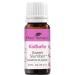 Plant Therapy KidSafe Sweet Slumber Essential Oil Blend 10 mL (1/3 oz) 100% Pure, Undiluted, Therapeutic Grade