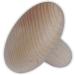 Fungus Massage Aid Premium Hardwood Massage Tool for Relaxation & Wellness - Buy Online on GoSupps.com