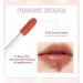 WALULAN Lip Plumping Nourishing Lip Color Gloss - Tootsie Lip Solution Cream 02 - Buy Online on GoSupps.com