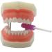 SNAWOP Aligner Chewies - 12PCS Silicone Chompers & Grip Stick for Invisalign Aligners | Best Tray Seaters - Buy Online on GoSupps.com