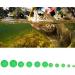 820Pcs Luminous Fishing Beads - Multi Models Round Shaped Beads for Saltwater & Freshwater Fishing - Buy Online on GoSupps.com