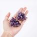 30-80g Natural Amethyst Cluster Quartz Crystal Healing Decoration Stone S5G0 Ornament Decoration Crystals AME Crafts Cluster - Buy Online on GoSupps.com