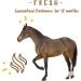 Buy Manna Pro Simply Flax for Horses - Omega-3 Flaxseed (8 lbs) | Premium Horse Supplement - Buy Online on GoSupps.com