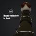 Waterproof Dog Winter Jacket with Velvet Inner - 2XL Green Reflective Dog Raincoat - Buy Online on GoSupps.com