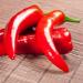 Peccati di Calabria | Chilli Peppers + Vegetables Spreadable Sauce 310g | calabrian spicy sauce | Preserved in sunflower oil | Artisan Italian - Buy Online on GoSupps.com