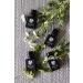 Organic Essential Oil Blends for Dogs - Nalu Oils (Peace) | Natural Pet Care & Wellness - Buy Online on GoSupps.com