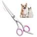 Adiwo curved dog cups made of stainless steel fur scissors pet dog care scissors paw scissors rounded scissors dog pet scissors scissors scissors dog hair cutting for perfect fur care