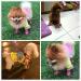 Pihappy Warm Winter Dog Boots XS Pink - Skidproof Snowman Paw Protectors 4PCS - Buy Online on GoSupps.com
