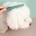 Homoyoyo Peigne D m lant pour Chiens Peigne de Toilettage Pratique avec Dents Fines Accessoire Portable pour Animaux de Compagnie - Buy Online on GoSupps.com