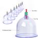 Koulate Massage Suction Cups - 12 Pack for Vein Artery & Hair Activation & Cleaning | International Shipping - Buy Online on GoSupps.com