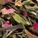 Passion de Fleurs White Tea - Flavored White Tea Dammann Fr res (25 Crystal Sachets 50 g) - Buy Online on GoSupps.com
