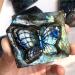 Natural Blue Labradorite Hand crved owl Polished Crystal Butterfly Stones - (Color: 1pcs Size: Random ments) Chakra Reiki Balancing - Buy Online on GoSupps.com