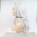 Xiweiya Synthetic Hair Wig - Heat Resistant Wavy Silver Grey | International Shipping Available - Buy Online on GoSupps.com