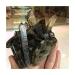 1pc Natural Rock Smoky Quartz Cluster Crystals Stones Home Decoration 200-300g Full of Texture