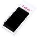 Fadlash Easy Fan Lashes D Curl 11-19mm Mixed Length Russian Eyelashes Extensions - Natural Look Self Fanning, Automatic Blooming, 0.05-D - Buy Online on GoSupps.com