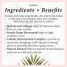 OMI Wellbeauty Renew Wrinkle Lifting Power Serum - Hydrolyzed Collagen & Resveratrol for Firmness & Hydration | 1 Month Supply - International Shipping Available - Buy Online on GoSupps.com