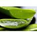 100% Organic Alovera Gel with Pure Aloe Vera & Vitamin E Chemical Free Paraben & Silicone Free Suits All Skin & Hair Types - Buy Online on GoSupps.com